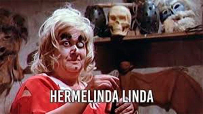 Hermelinda Linda (1984)